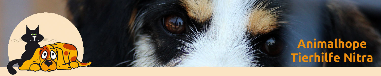 Animalhope Tierhilfe Nitra